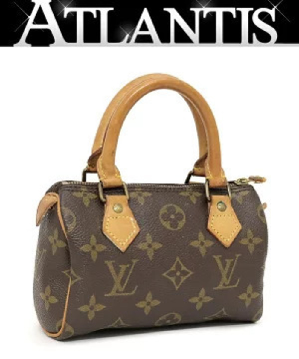 Louis Vuitton Speedy Handbag Monogram